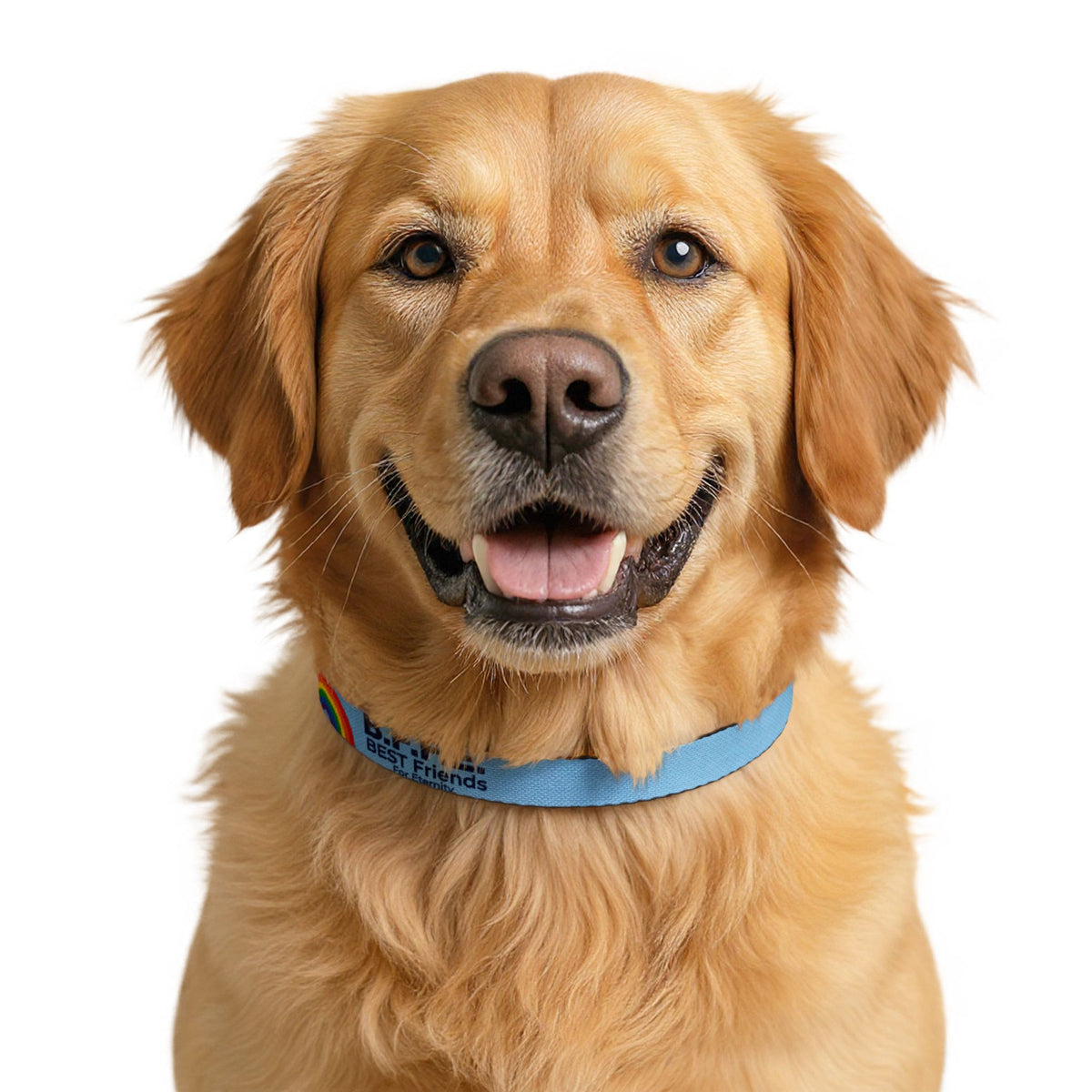 B.F.F.E. Rainbow Blue Clip-On Dog Collar
