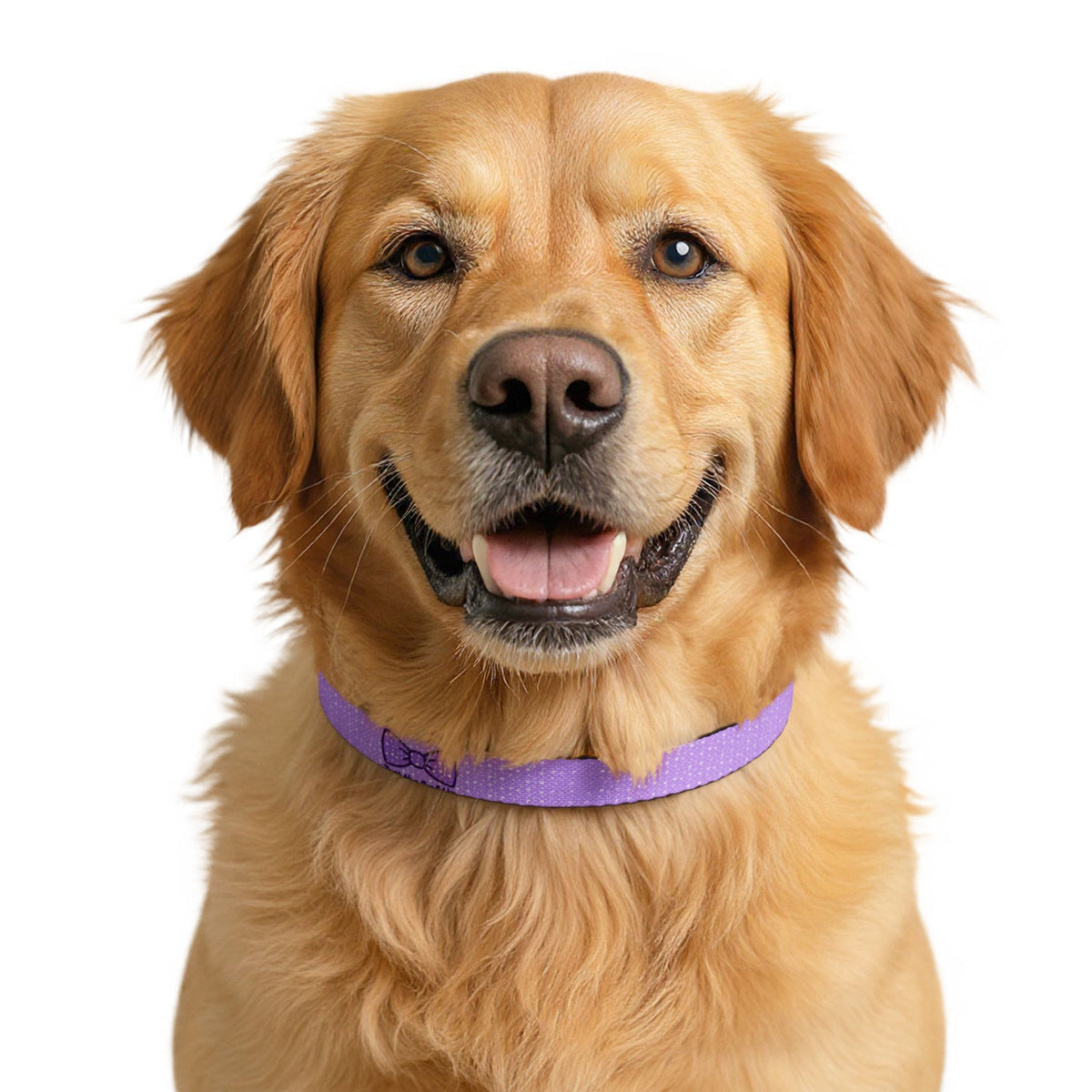 Just the 2 of Us Clip-On Dog Collar