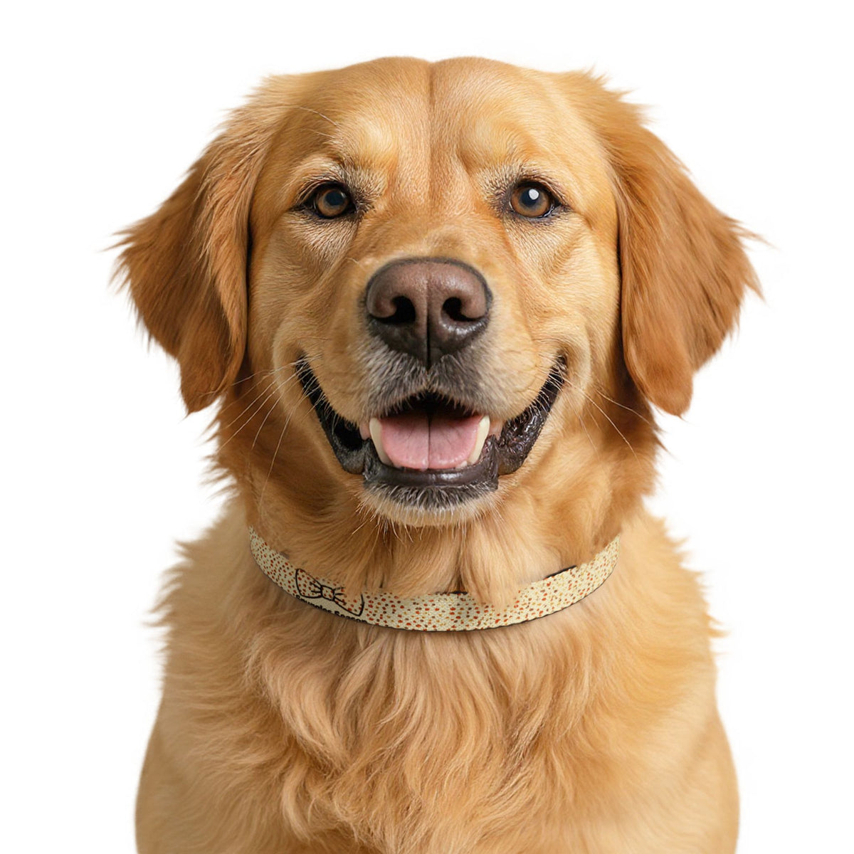Snuggles Season Autumn Clip-On Dog Collar