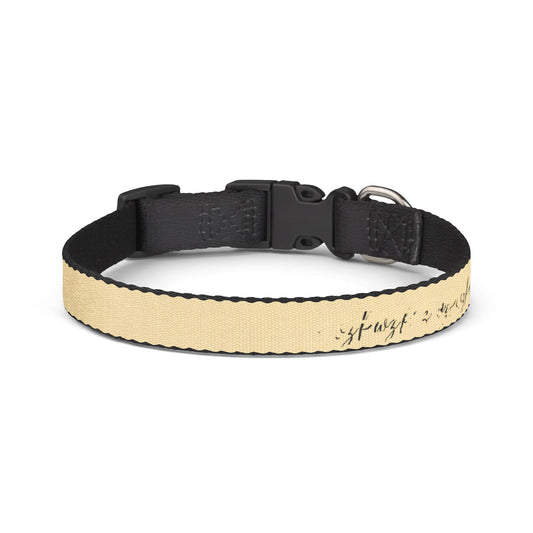 PawzPaz Cream Script Clip-On Dog Collar