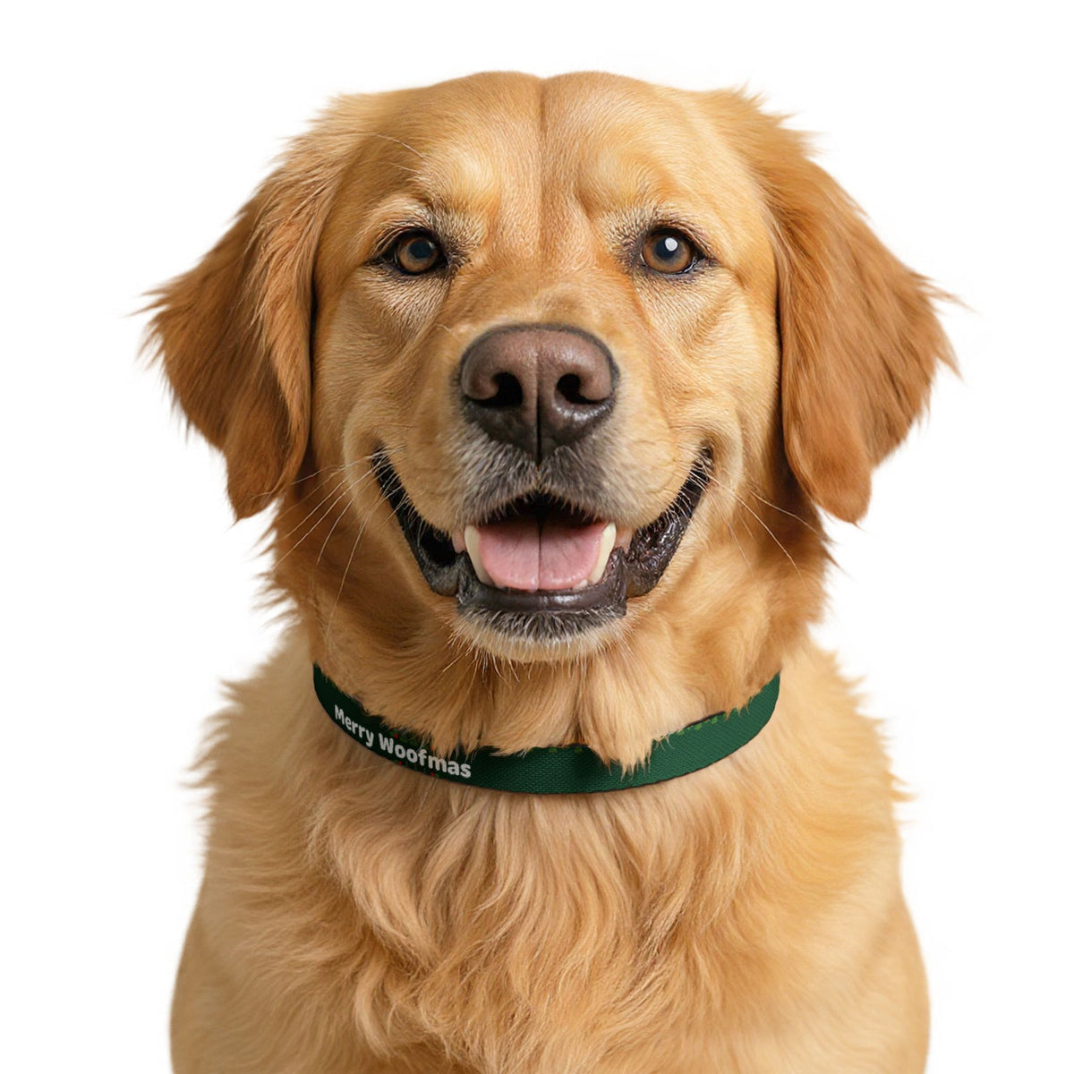 Merry Woofmas Christmas Clip-On Dog Collar