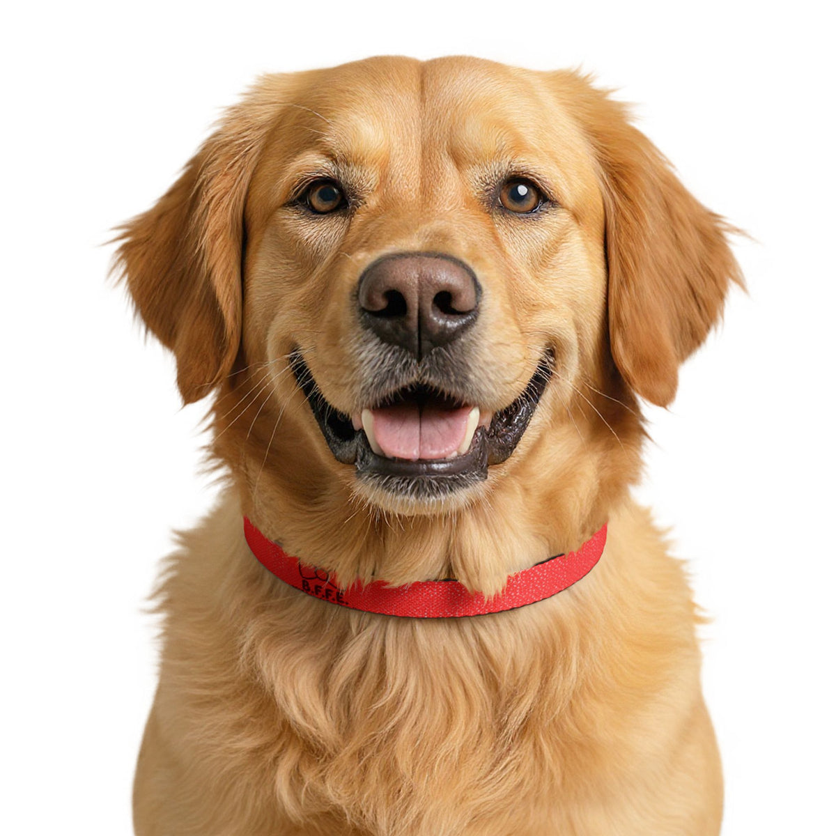 B.F.F.E. Best Friends For Eternity Red Clip-On Dog Collar