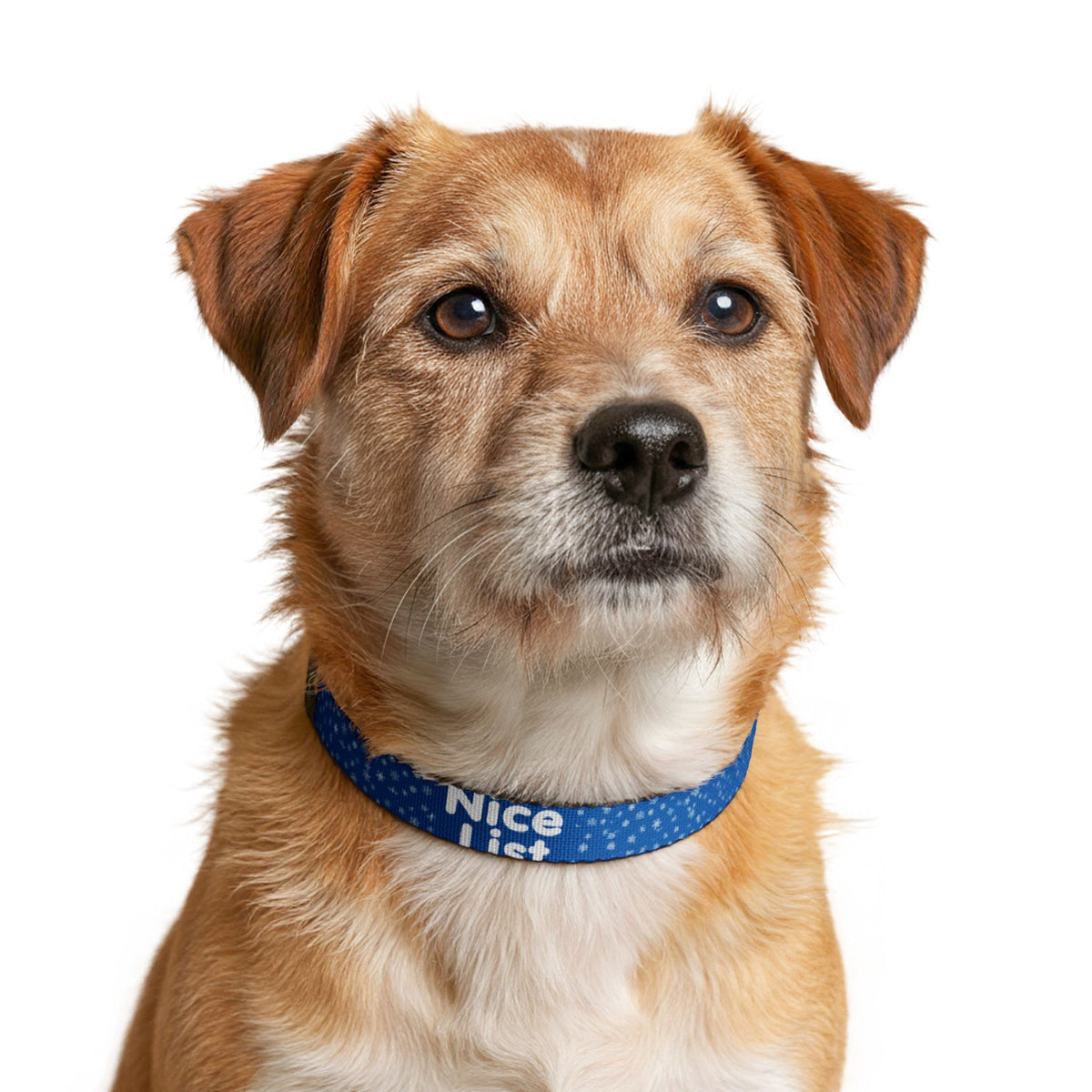 Nice List Blue Snowflake Christmas Clip-On Dog Collar