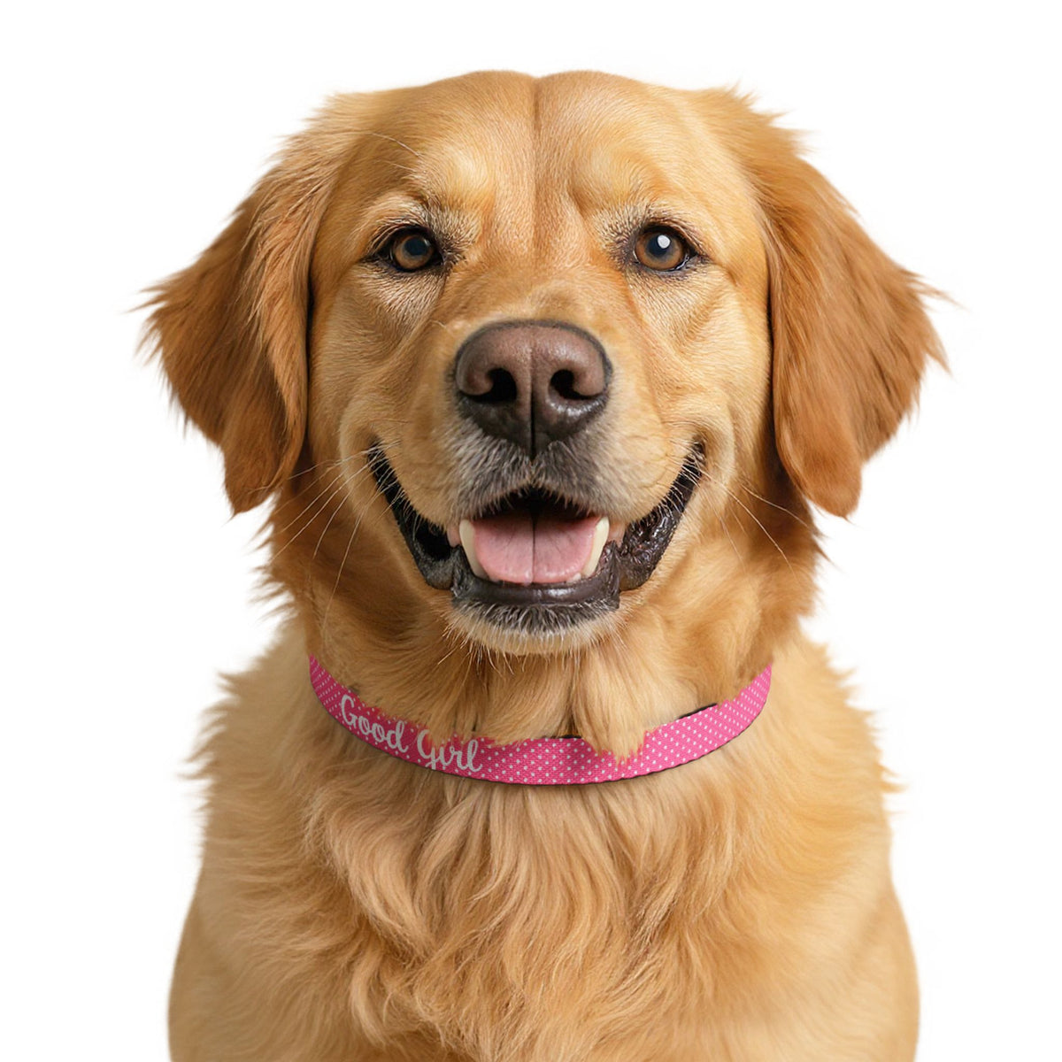 Good Girl Pink Polka Dot Clip-On Dog Collar