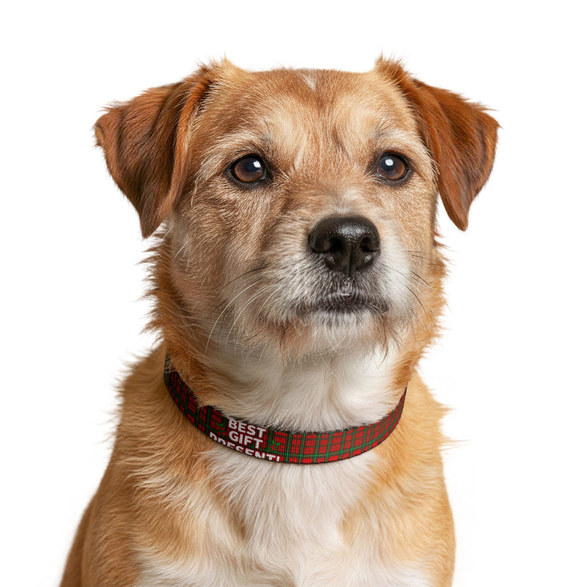 Best Gift Present Christmas Plaid Clip-On Dog Collar